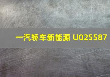 一汽轿车新能源 U025587